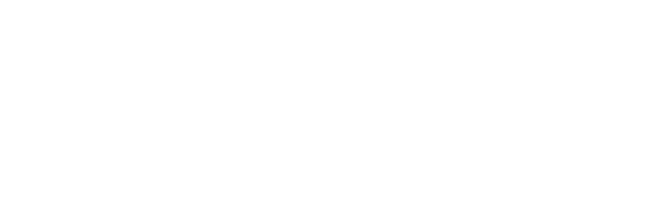 Sebel Footer Logo